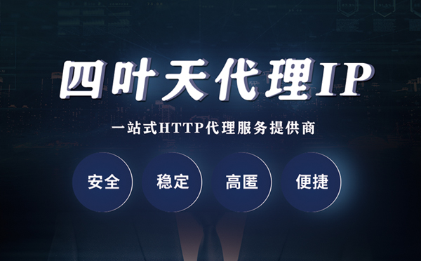 【黑河代理IP】代理ip客户端使用教程