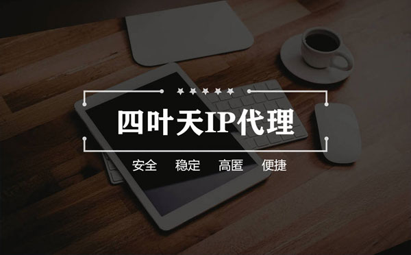 【黑河代理IP】如何快速搭建代理IP？怎么检查代理的效果？